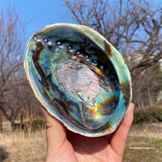 Natural Abalone Shell Dish, Rainbow Iridescent Seashell Decor, Jewelry Making Stone - Etsy