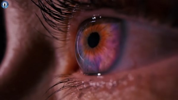 Woman dies for 20 minutes and returns with a message about Earth