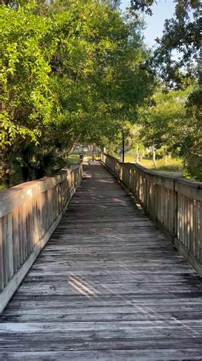 Step into a little piece of history at Oaks by the Bay Park in Historic St. Andrews. 🌳🔔 Start your stroll beneath the shade of the Old Sentry, a majestic live oak estimated to be nearly 300 years old. Its sprawling branches have watched over St. Andrews Bay long before the city grew around it. Just a short walk away, you will find the historic church bell from St. Andrews Presbyterian Church. First dedicated in 1888, the bell once called the community to worship and celebration. Today it stand