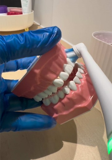 Bass Technique for Effective Toothbrushing