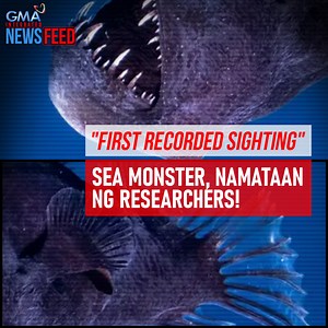 Hala, may sea monster! Labis na ikinagulat ng mga researcher sa Spain ang kanilang namataan sa dagat habang pinag-aaralan ang mga pating. Posibleng ito raw ang kauna-unahang pagkakataon sa kasaysayan na nakitang buhay ang "sea devil." Panoorin ang aktuwal na video! | GMA News