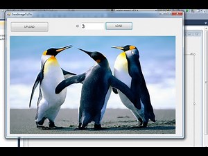Copy images to folder and save path to database in c#