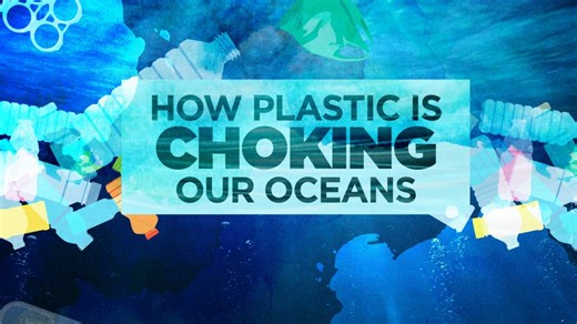 Plastic pollution crisis: How waste ends up in our oceans