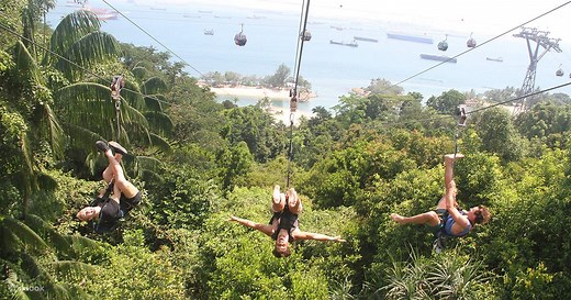 新加坡飞龙探险乐园高空滑索（MegaZip）体验 - Klook客路