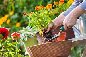 What to put in a gardening gift basket