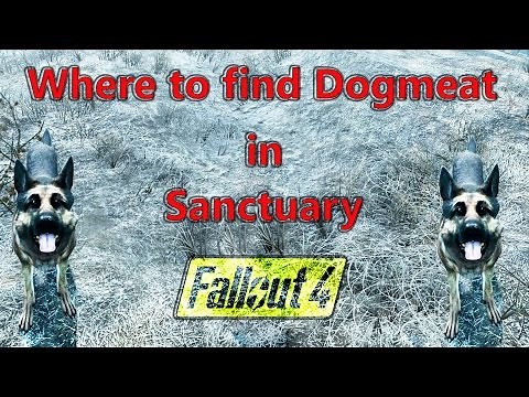 Dogmeat location in Sanctuary Hills: Fallout 4
