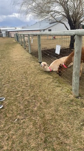 Visit Crescent Moon Ranch in Redmond, Oregon