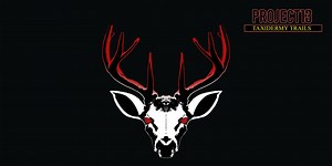 Project 13: Taxidermy Trails