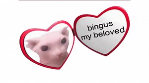 Who Or What Is A "Bingus"?