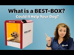What is BEST-BOX and How Can It Help Your Dog?