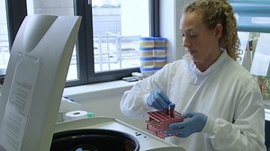 Subcellular Fractionation of Primary Chronic Lymphocytic Leukemia Cells to Monitor Nuclear/Cytoplasmic Protein Trafficking