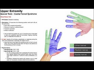 Elbow Flexion Test | Test Procedure