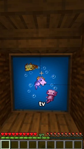 Agora da pra vigiar tudo...