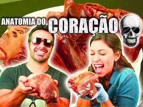 Anatomy of the Heart | Practical Class ft Natália Reinecke (Anatomy and Etc) | Human Anatomy