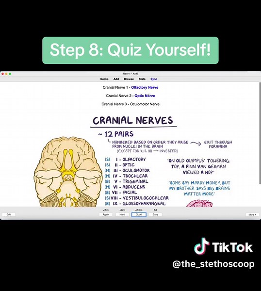 Anki Tutorial Part 2: Cloze Cards 📚➡️ Comment Your Questions! #anki #medstudent #medicalstudent #medstudentlife #medstudenttiktok #medstudentproblems #medschool #medschoolstudying #study #premed #premedstudytips #premedadvice #miami