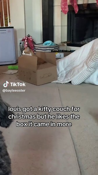 he would rather eat box