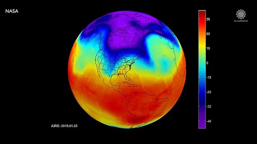 The recent polar vortex at the end of January did more than bring record breaking cold temperatures in the Midwest and Northeastern U.S. It may have also killed many invasive insect species too! | AccuWeather