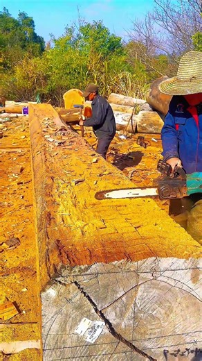 Heavy-Duty Woodworking: Precision Chainsaw Carving on Massive Timber