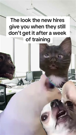 New Hires Training: When They Just Don't Get It - Work Humor