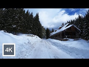 Winter Walk through Snowy Forest with Snow Crunching Sounds - Relaxation Video 4K ASMR