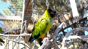 1.1K views · 86 reactions | Murray is looking high and low for his...