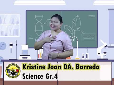 Science Grade 4 The Water Cycle by Teacher Tin Barredo