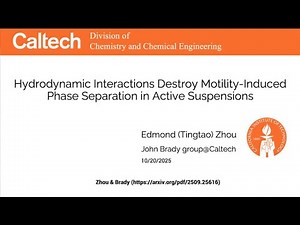Dr. (Edmond) Tingtao Zhou: Hydrodynamic interactions destroy motility-induced phase separations...