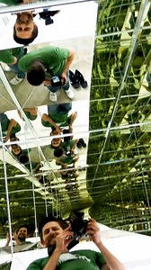 58K views · 1K reactions | A room made completely out of mirrors 爵 #experiment #mirror #room #science #physics #reels | The Action Lab | Facebook