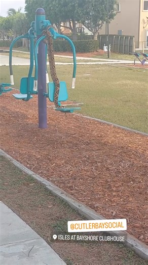 Make sure you check the equipment carefully before you use it! 🐍 @cutlerbaysocial #snake #reptile #python #florida #ehp #evergladesholidaypark #cutlerbay #viralvideos | Everglades Holiday Park