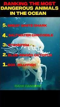 Ranking The Most Dangerous Animals in the Ocean 🌊💀