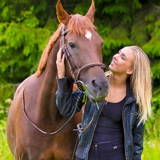 How Smart Are Horses? | Hashem Al-Ghaili