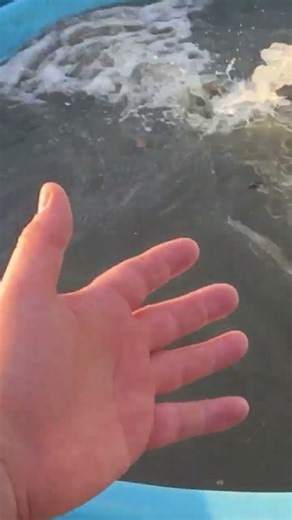 Sourcing and Storing Water in SHTF Survival