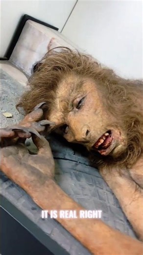 Real Werewolf Theories: The Science Behind the Myths