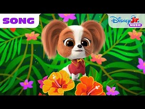SuperKitties “Perfect Puppy Play Day" Song! 🐶🎵 | ‪@disneyjr‬