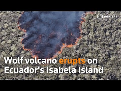 Wolf volcano erupts on Ecuador's Isabela Island