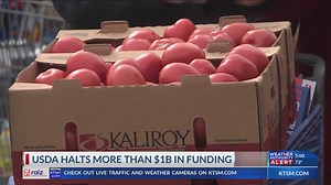 USDA halts over $1B in funding for local food banks, schools