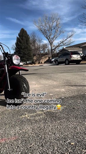 Get em tiger #funny | tiger clips