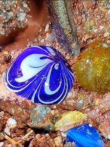 465K views · 16K reactions | These shining spheres contain powerful energy magnetic fields #diamonds #gold #crystal #agate #goldenretriever | Chak Krythink | Facebook