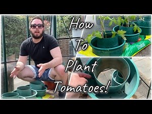 How To Plant Tomatoes In Growbags Using A Simple Watering & Feeding System! 2021