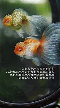 2,500 Years of Art: How Ancient Chinese Silk Paintings Are Made