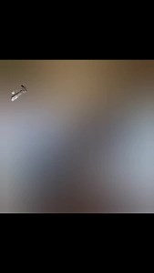 93K views · 323 reactions | #JCPAVANREDDY #maldives | Pavan Reddy J C | Facebook