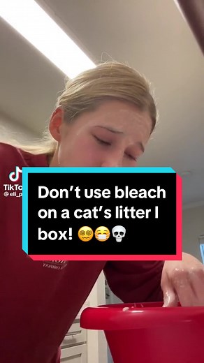 Never ever EVER use bleach on a cat’s litter box! You will make incredibly toxic gasses as a result of the bleach reacting with the ammomia and urea present in the litter box. Please use an appropriate cleaner that does not contain sodium hypochlorite. #stitch with @Elizabeth Parsons . . . . . . #scienceexplained #scienceatwork #chemistrylesson #chemtom #sciencetok #cleantok #cats #litterbox #fyp #foryou