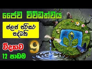 9 විද්‍යාව - ජෛව විවිධත්වය (12 පාඩම ) - Grade 9 Science