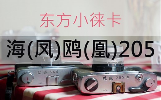 【相机哔哔】国产胶片机：凤凰205 海鸥205旁轴相机详细介绍