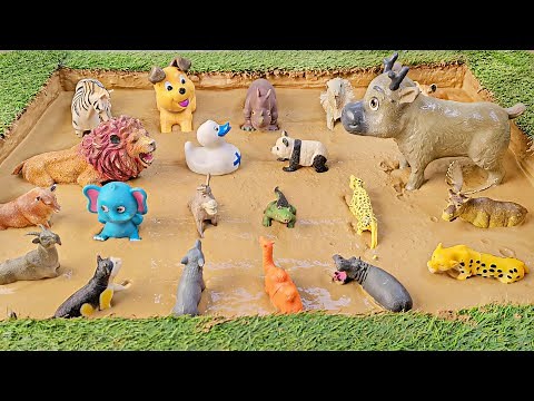 A Muddy Journey Through Forests and Zoo Animals for Little Explorers!
