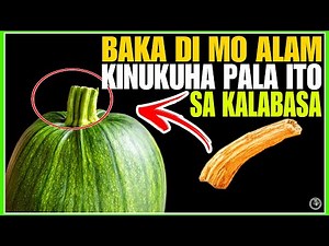 ITINATAPON MO LAMANG ITO SA KALABASA ,NAPAKARAMI PALANG GAMIT BISA AT MGA HALAGA | BHES TV