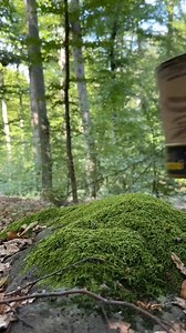 Survival Life Hack： Fire paper in wild conditions. #survival #outdoor... #reels | Sergio Outdoors