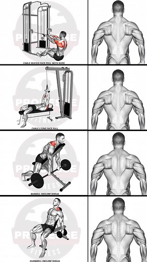 “Traps & Rear Delts Workout — Clean Pulls, Strong Isolation, Better Upper-Back Shape” #reardelts #traps #upperback #shoulderworkout #backworkout #hypertrophy #musclebuilding #strengthtraining #gymtips #prouessefitness | Junior B Divenson Jean