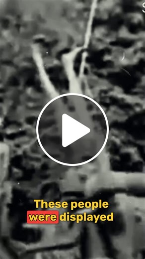 People were once put in cages and displayed like animals — even children. Human zoos mostly existed in Europe and the U.S. This is a part of dark history they rarely teach — but it must never be forgotten. #HumanZoos #OtaBenga #DarkHistory #ForgottenHistory #HumanZooDocumentary #ColonialHistory #BlackHistory #RacialInjustice #BronxZoo #HistoryTok #TrueStory #Zoo #HistoryOfRacism #WorldFairsHistory #TikTokHistory - NewsBreak