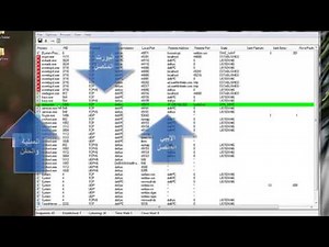 الدرس الواحد وعشرون من دوره كشف الدمج والتلغيم tcpview